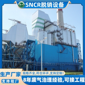 SNCR�����豸