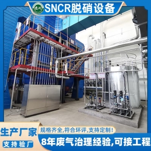 SNCR豸